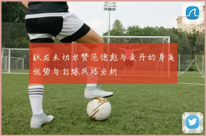 狄龙米切尔赞范德彪与麦丹的身高优势与打球风格分析
