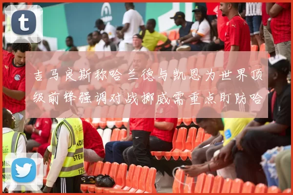 吉马良斯称哈兰德与凯恩为世界顶级前锋强调对战挪威需重点盯防哈兰德